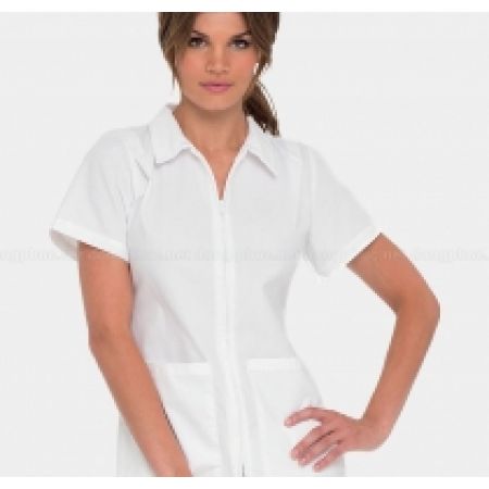 Áo blouse nữ ngắn tay